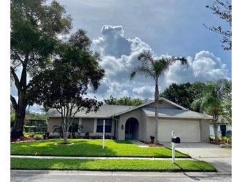9820 Stephenson Drive New Port Richey FL 34655 U8201651 image1