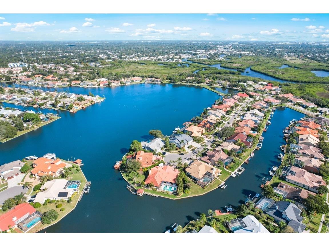 9821 Bay Island Drive Tampa FL 33615 U8184473 image1