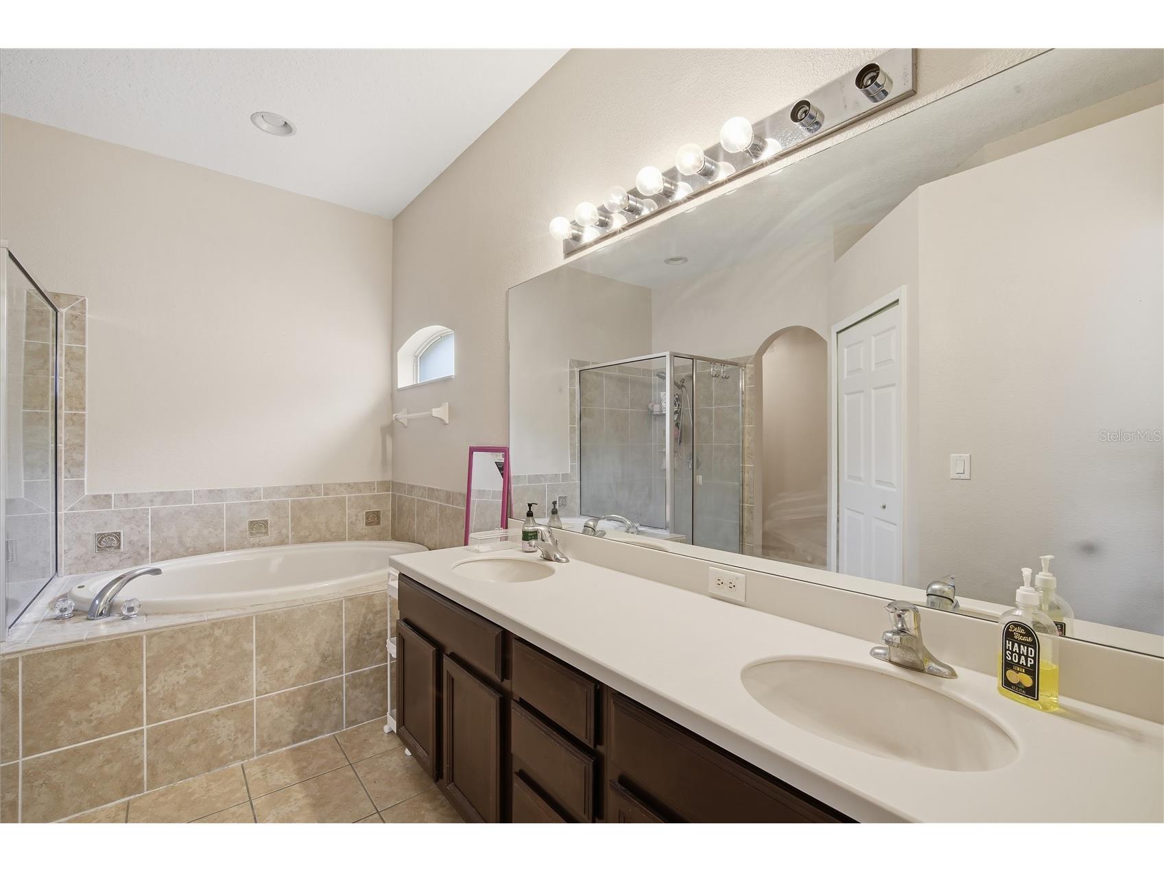 9821 Jasmine Brook Circle Land O Lakes FL 34638 TB8522790 image18