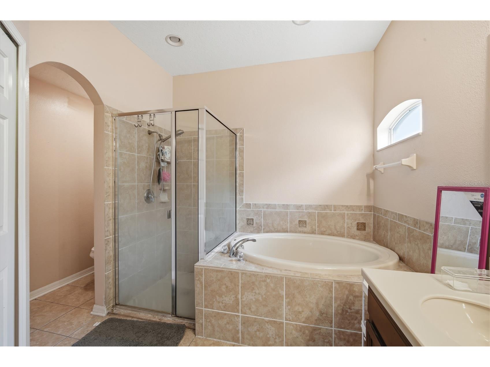 9821 Jasmine Brook Circle Land O Lakes FL 34638 TB8522790 image19