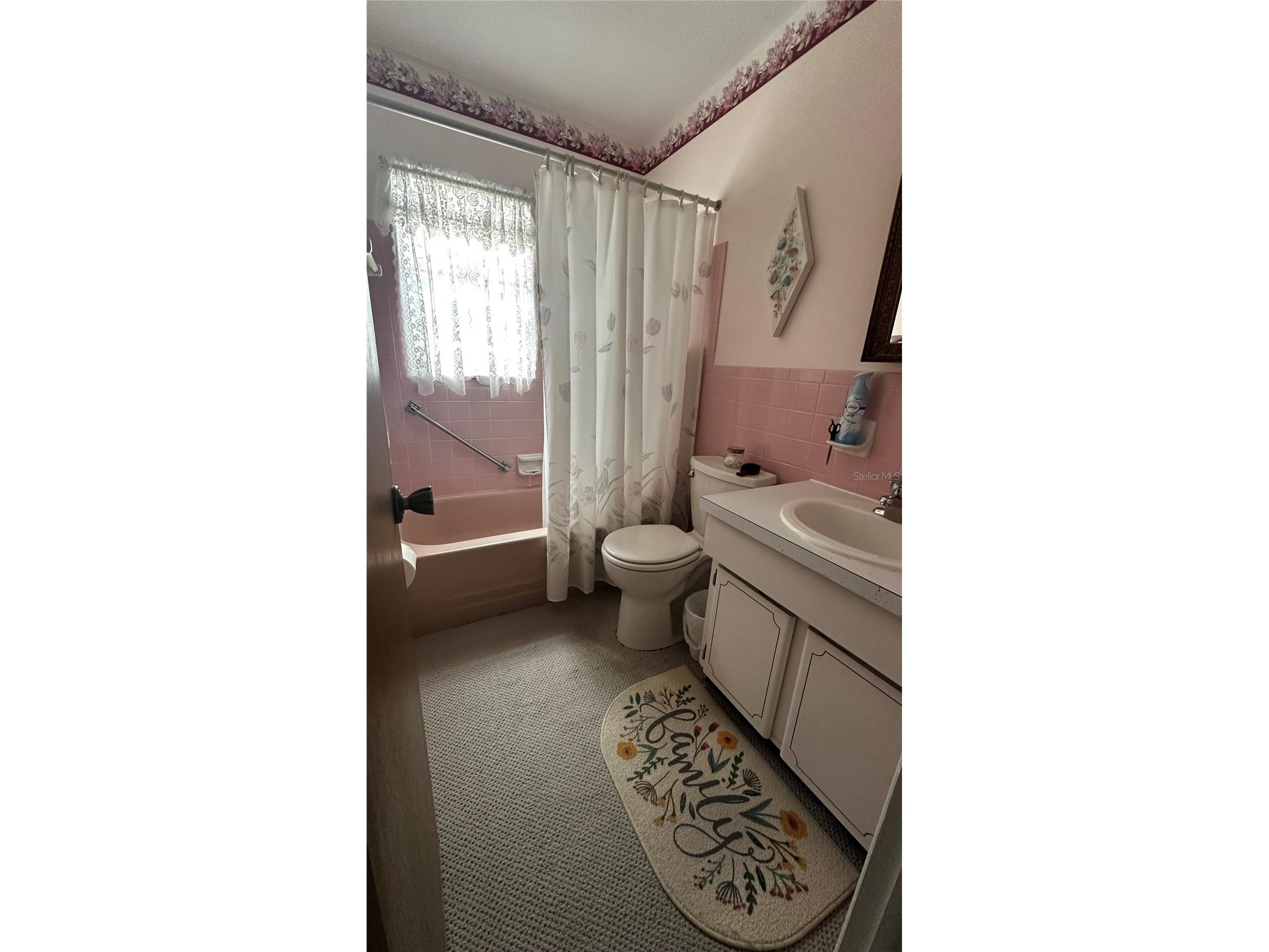 9821 Lily Street Pinellas Park FL 33782 TB8477042 image21