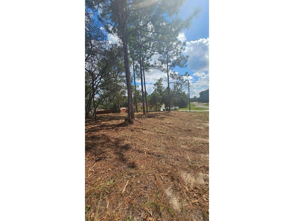 9821 N Stafford Drive Citrus Springs FL 34433 T3551396 image1