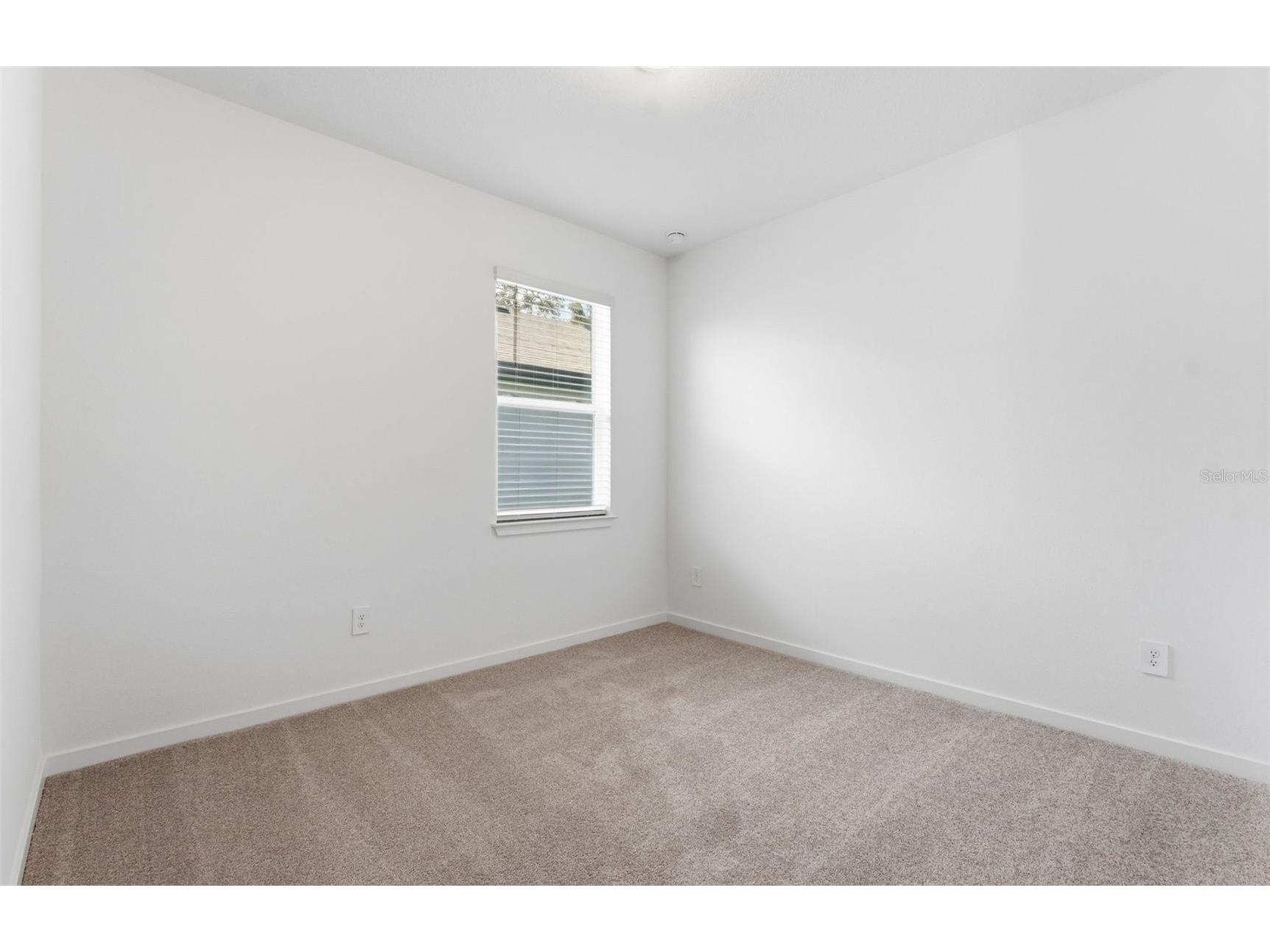9821 Redwood Heights Loop Thonotosassa FL 33592 TB8477830 image12