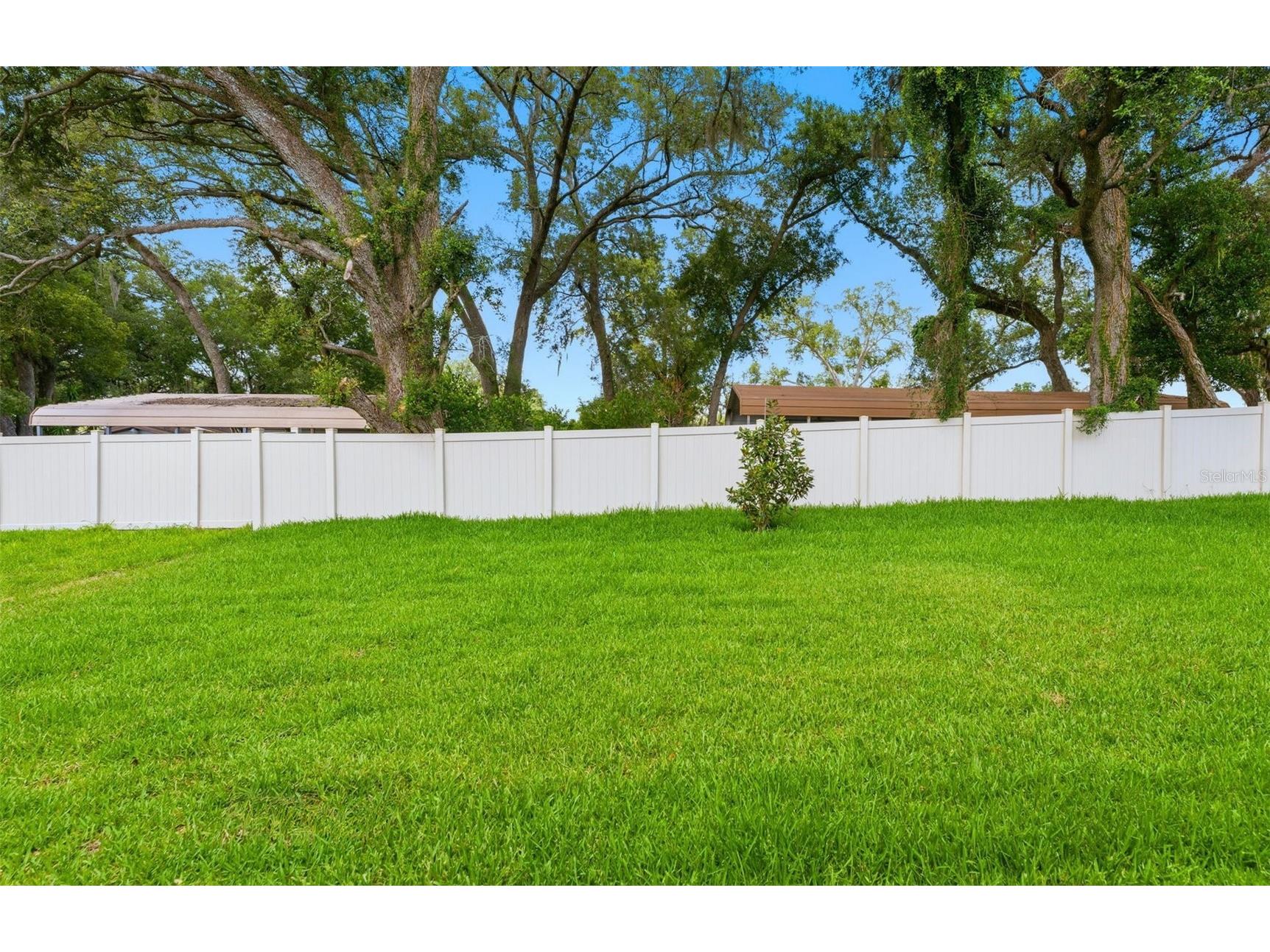 9821 Redwood Heights Loop Thonotosassa FL 33592 TB8477830 image18