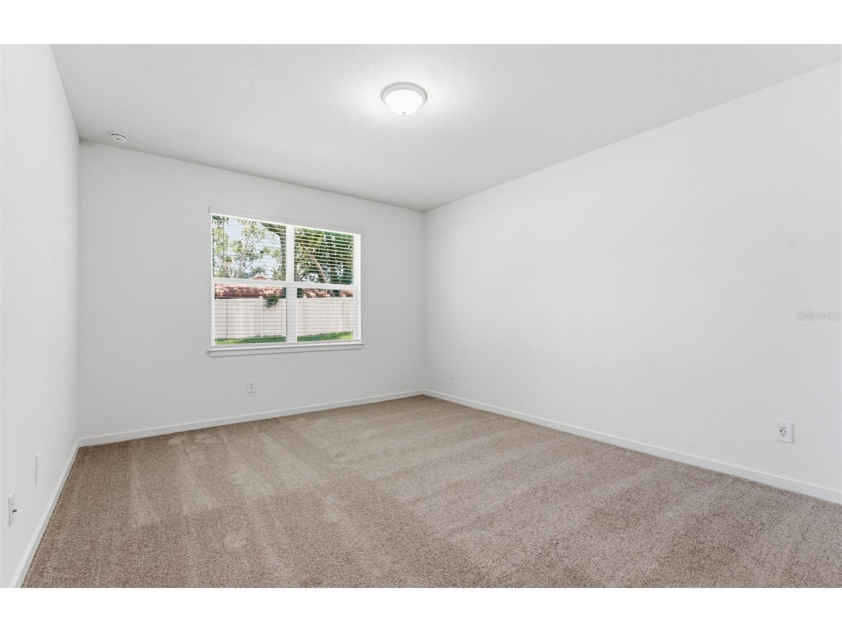 9821 Redwood Heights Loop Thonotosassa FL 33592 TB8477830 image8