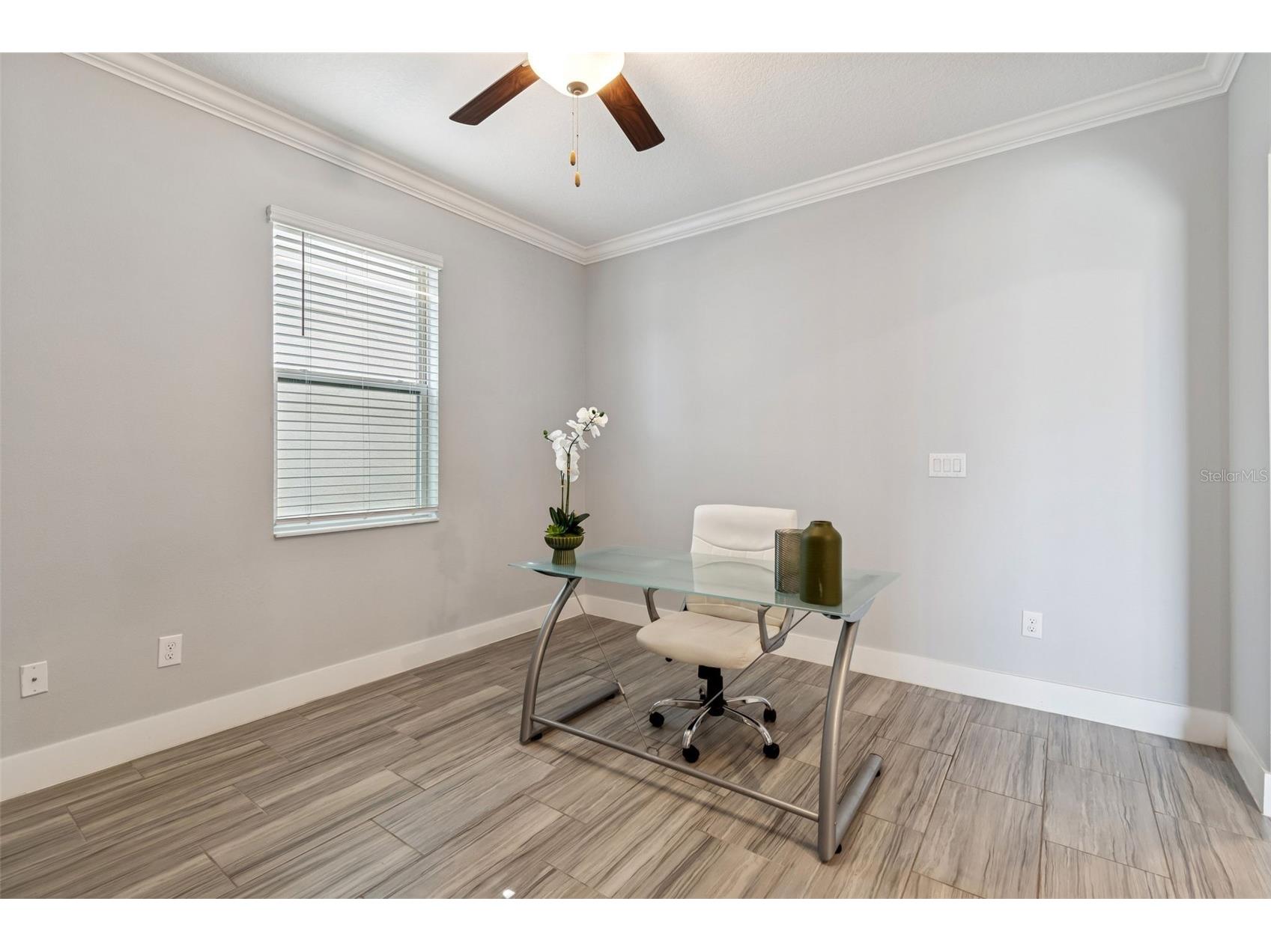 9822 Little Bluestem Drive Land O Lakes FL 34637 TB8480204 image11