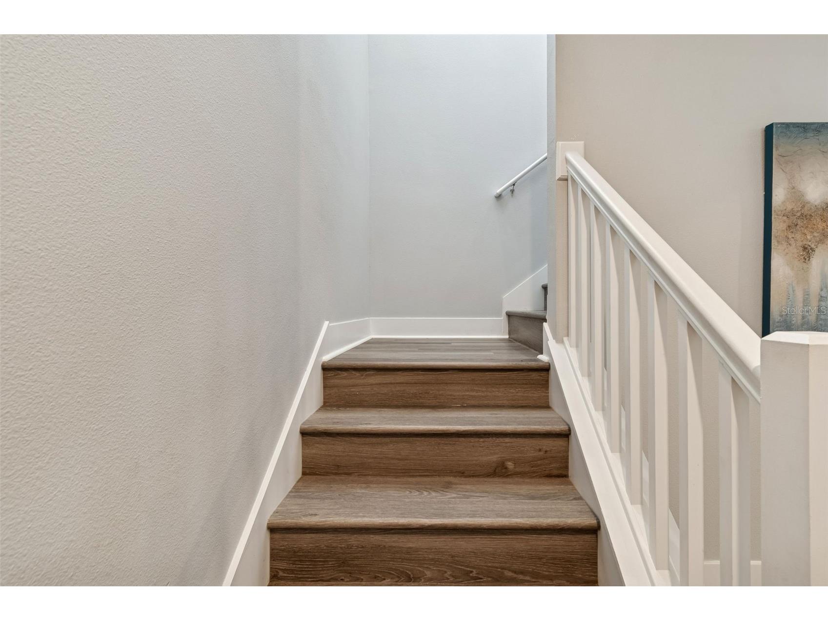 9822 Little Bluestem Drive Land O Lakes FL 34637 TB8480204 image22