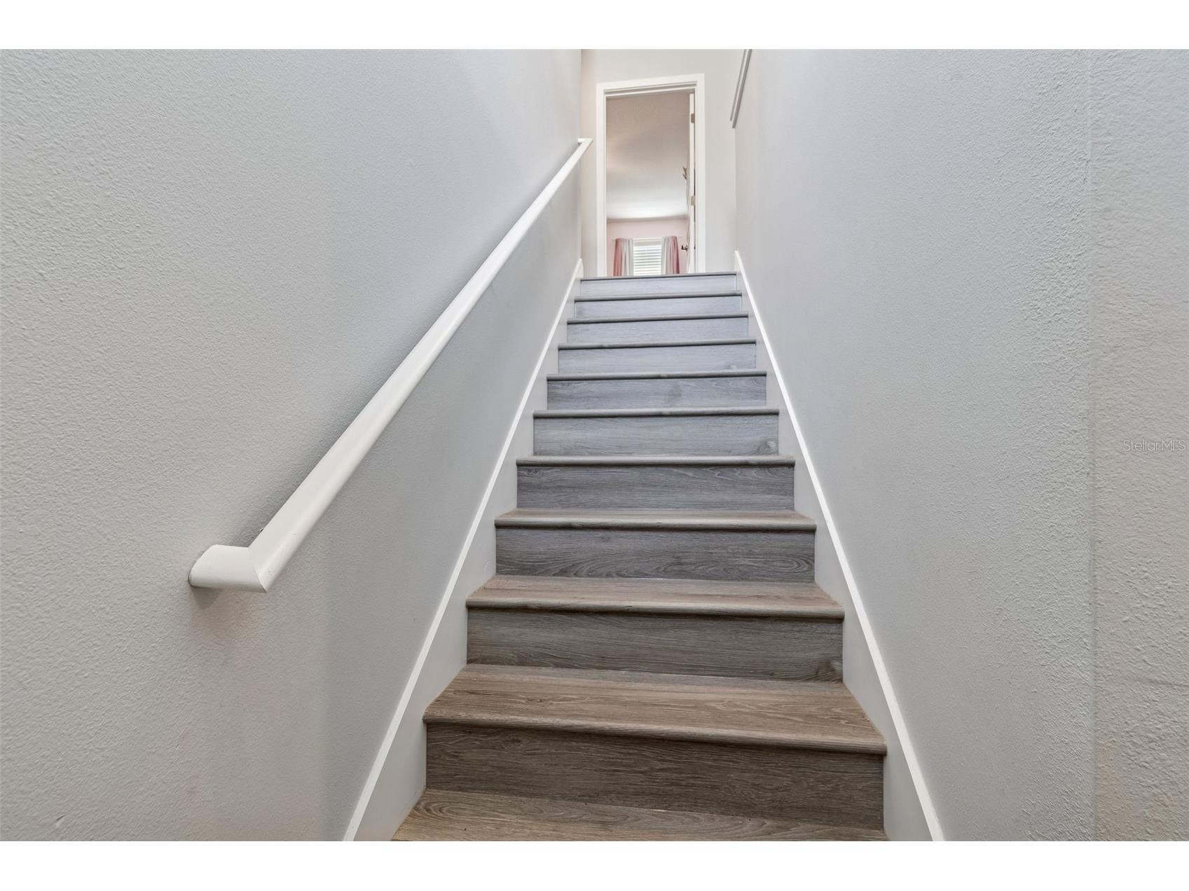 9822 Little Bluestem Drive Land O Lakes FL 34637 TB8480204 image24