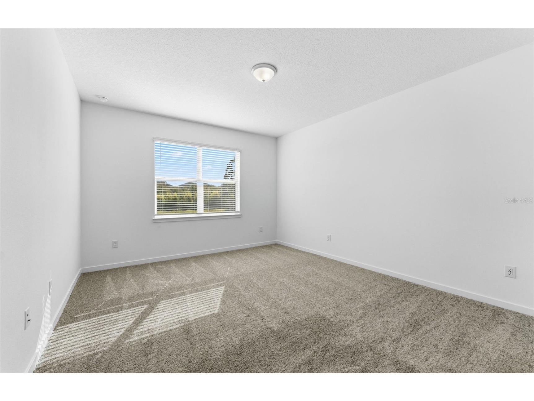 9823 Crescent Moon Drive Riverview FL 33578 TB8469125 image9