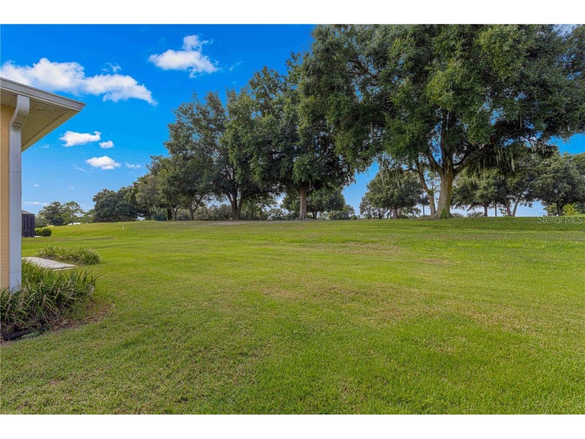 9823 SW 95th Loop Ocala FL 34481 OM685149 image39