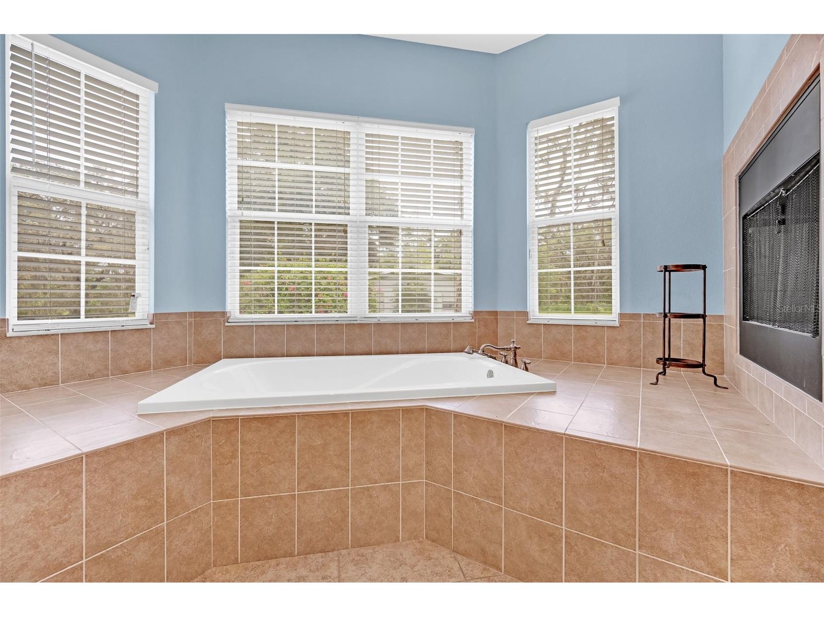 9824 Brantley Road Lithia FL 33547 TB8405923 image19