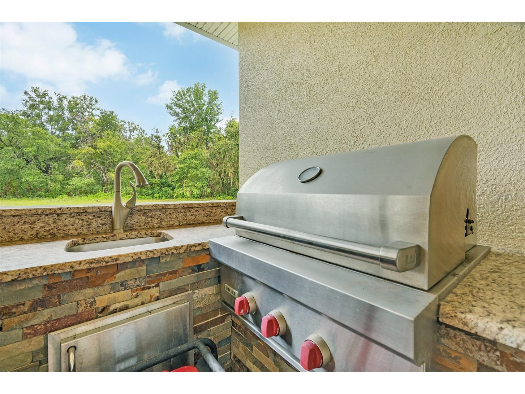 9824 Brantley Road Lithia FL 33547 TB8405923 image31