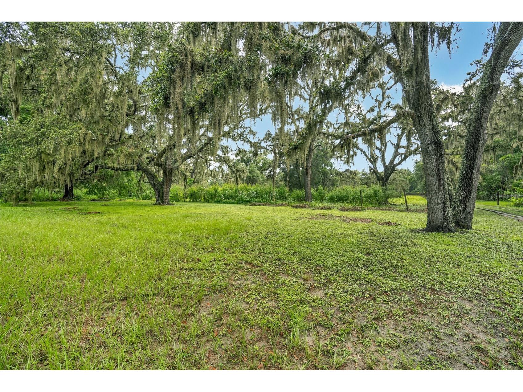 9824 Brantley Road Lithia FL 33547 TB8405923 image34