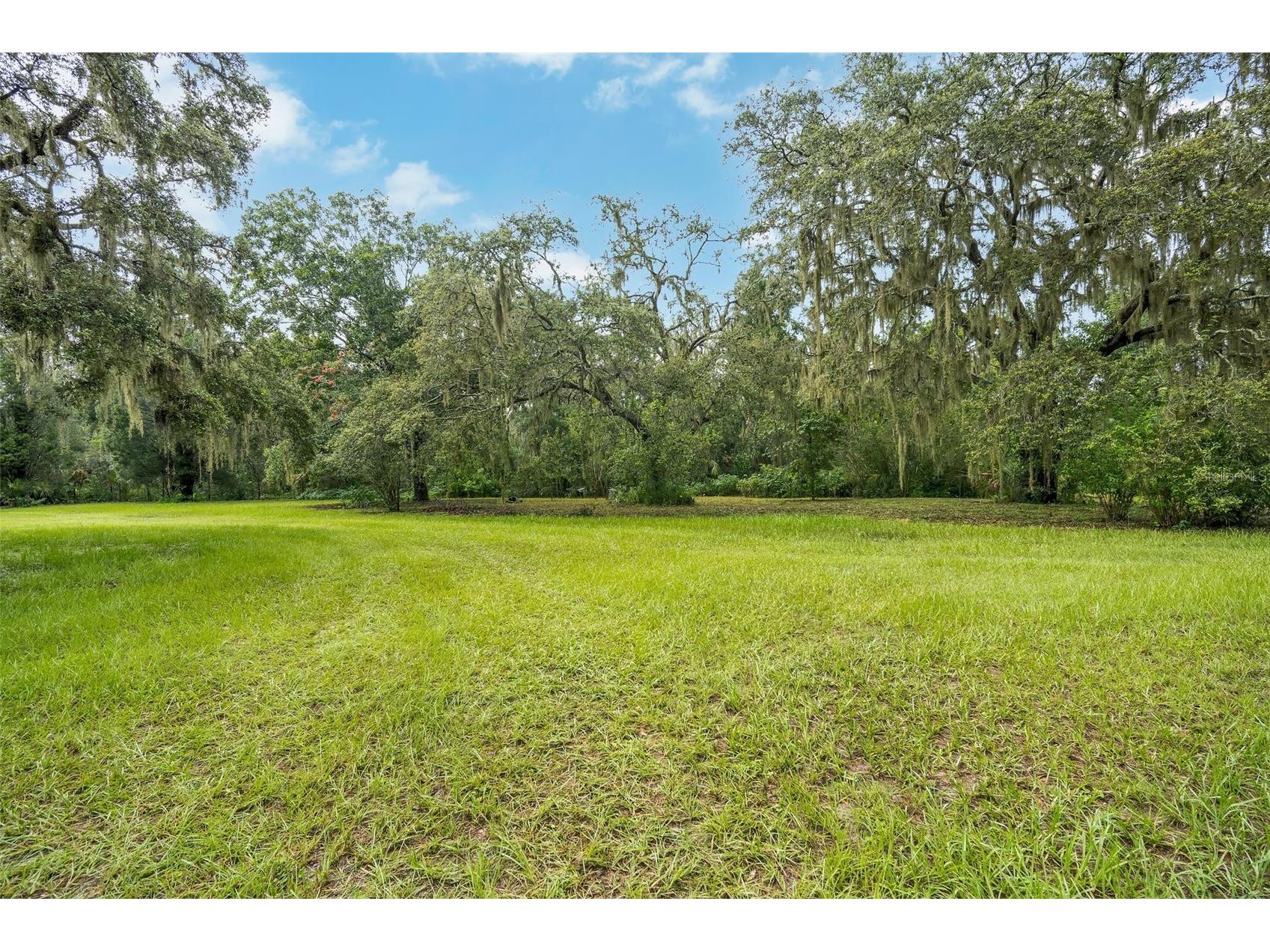 9824 Brantley Road Lithia FL 33547 TB8405923 image35