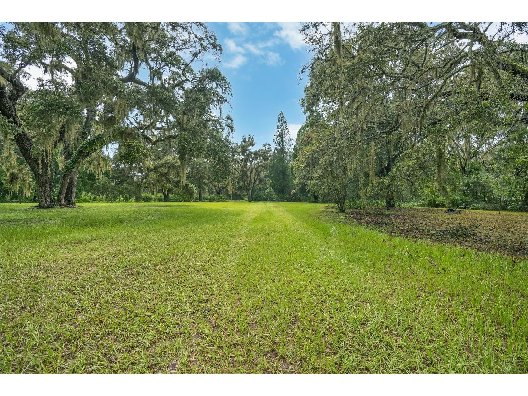 9824 Brantley Road Lithia FL 33547 TB8405923 image36