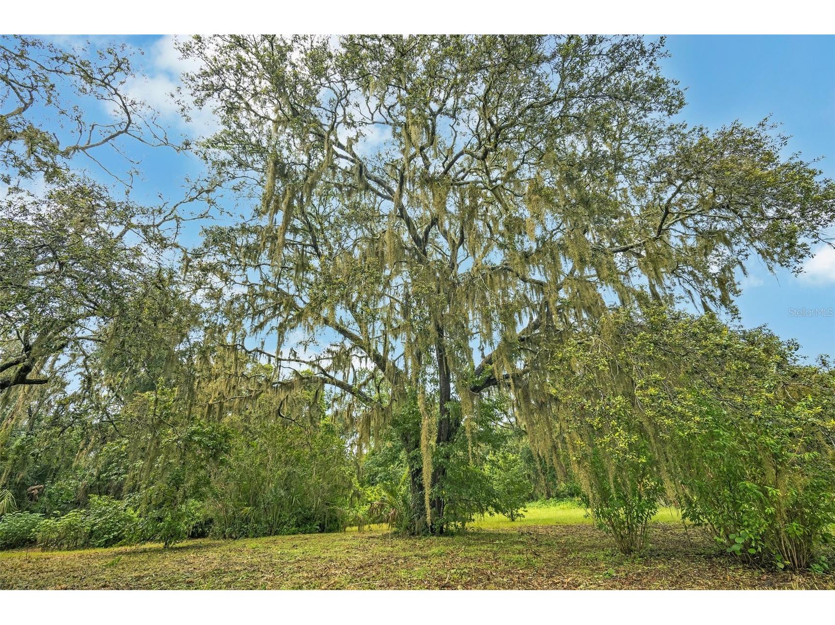 9824 Brantley Road Lithia FL 33547 TB8405923 image37