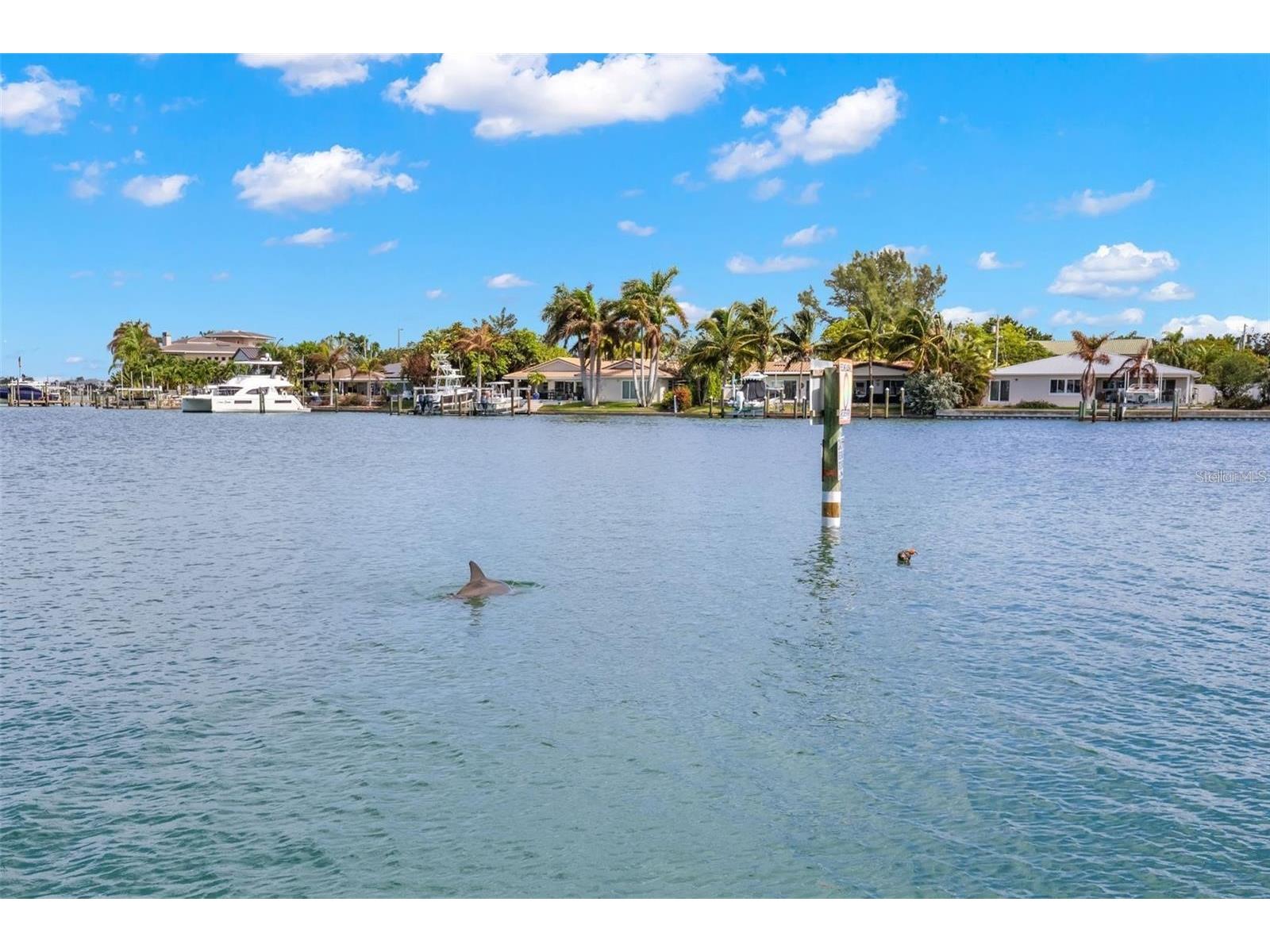 9825 Harrell Avenue #404 Treasure Island FL 33706 - INTRACOASTAL WATERWAY TB8505649 image29