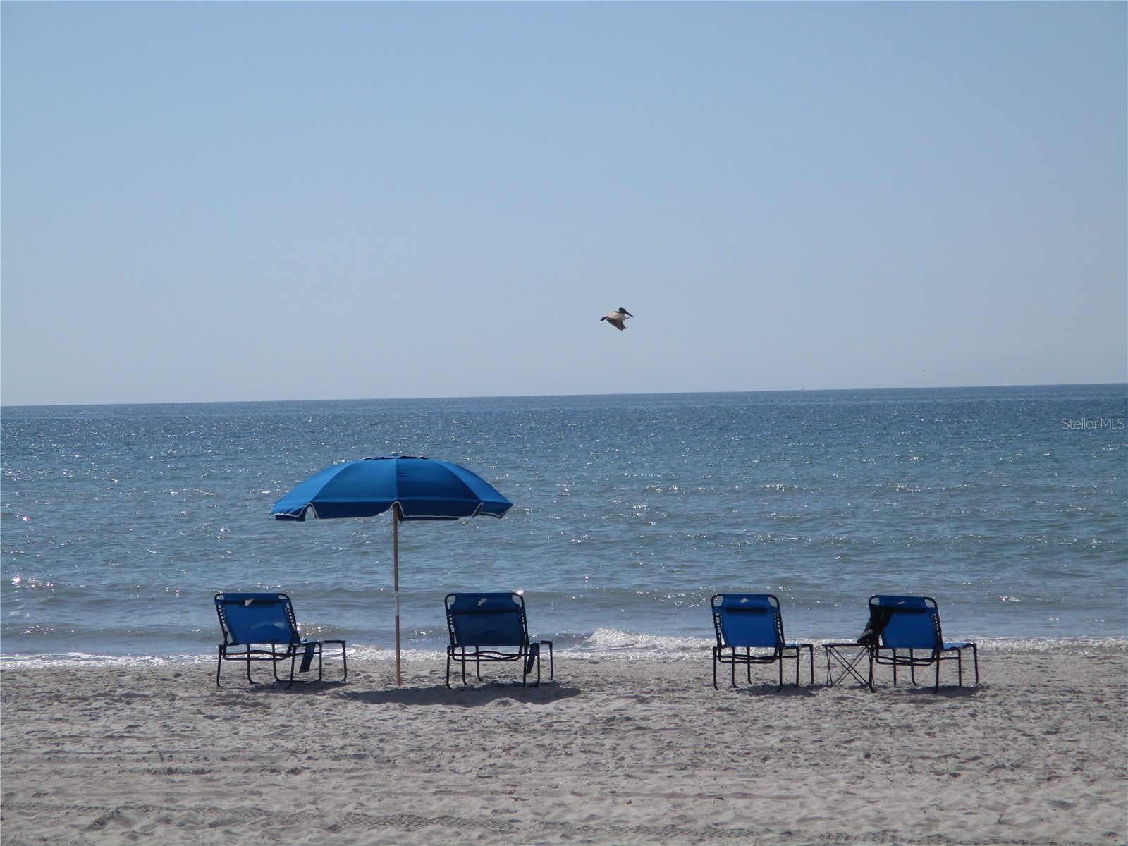 9825 Harrell Avenue #404 Treasure Island FL 33706 - INTRACOASTAL WATERWAY TB8505649 image32