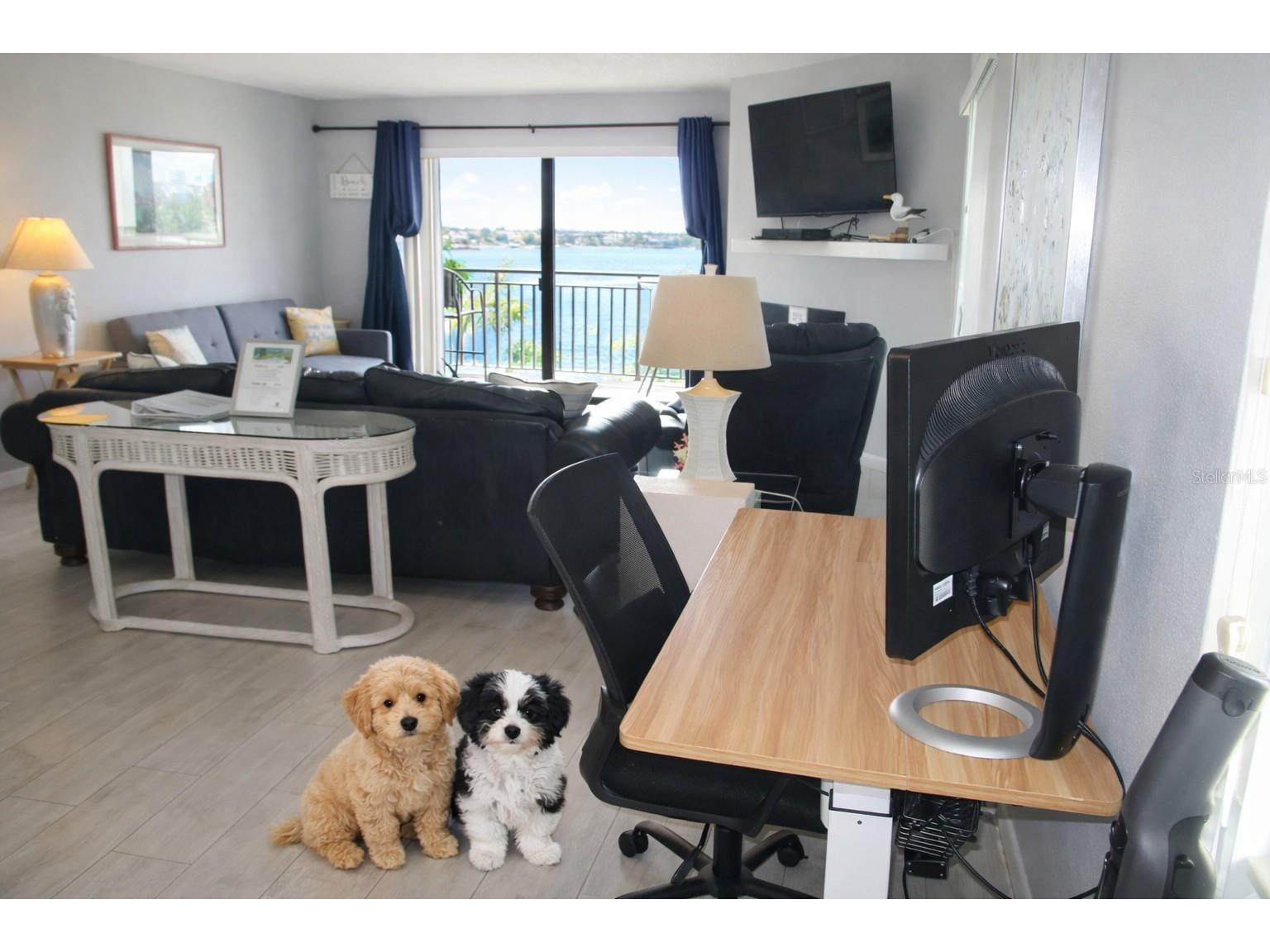 9825 Harrell Avenue #404 Treasure Island FL 33706 - INTRACOASTAL WATERWAY TB8505649 image7