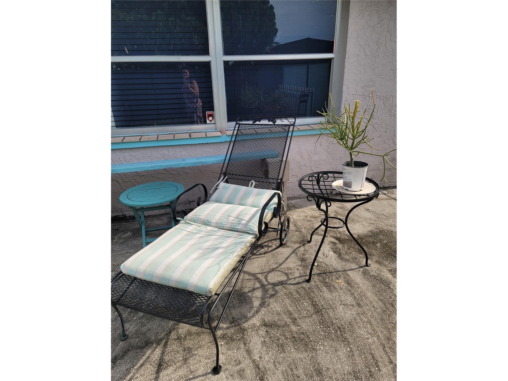 9826 Lehigh Drive Port Richey FL 34668 TB8489291 image28