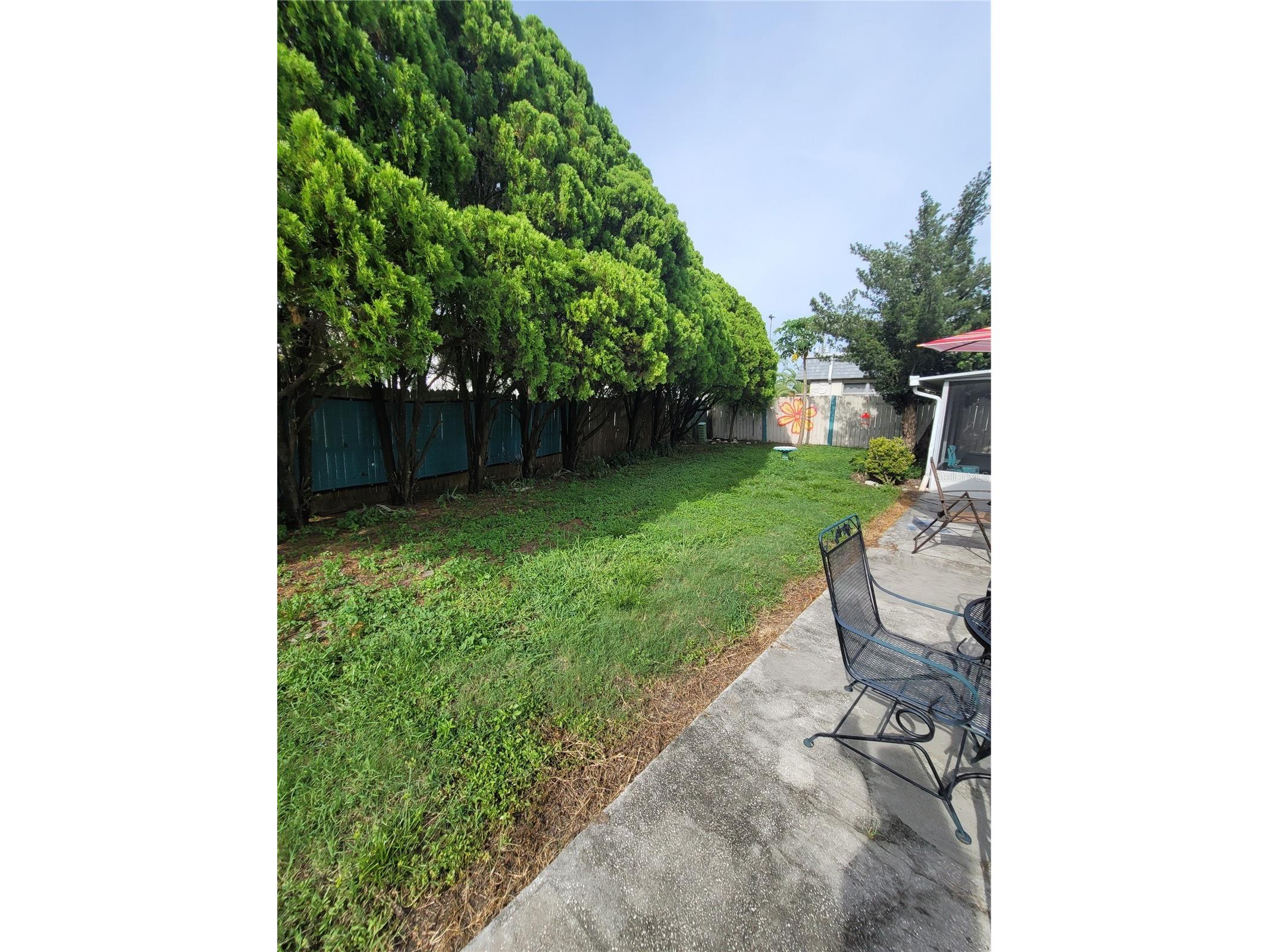 9826 Lehigh Drive Port Richey FL 34668 TB8489291 image34
