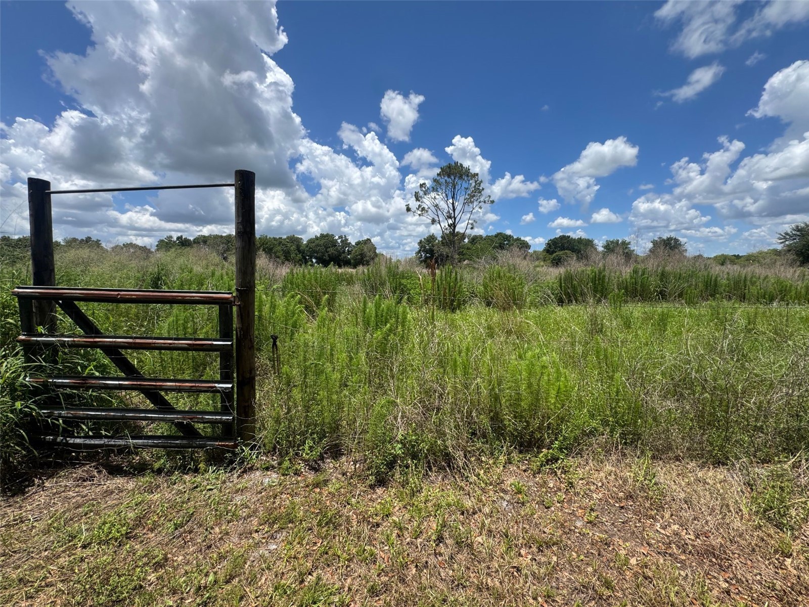 9827 SE Hoth Road Arcadia FL 34266 A4694213 image28