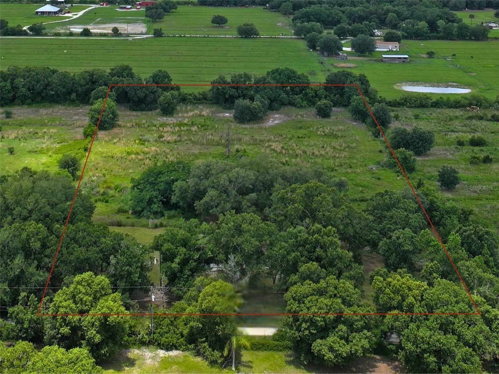 9827 SE Hoth Road Arcadia FL 34266 A4694213 image5