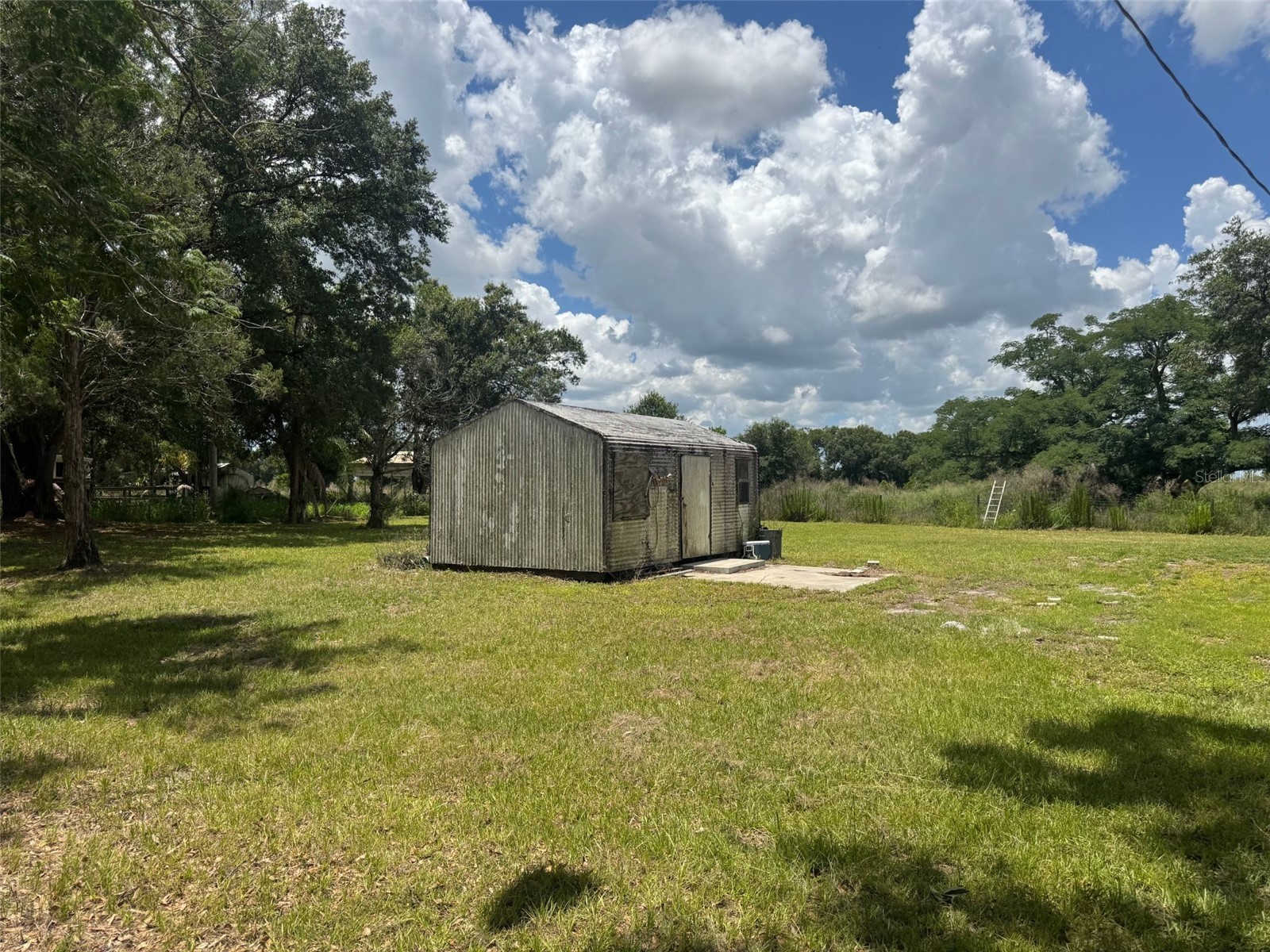 9827 SE Hoth Road Arcadia FL 34266 A4694213 image8