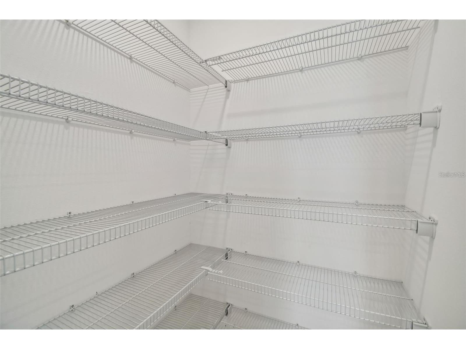9828 Branching Ship Trace Trace Wesley Chapel FL 33545 TB8473790 image13