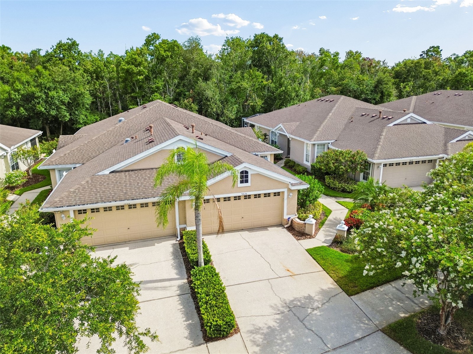 9828 Bridgeton Drive Tampa FL 33626 TB8523952 image3