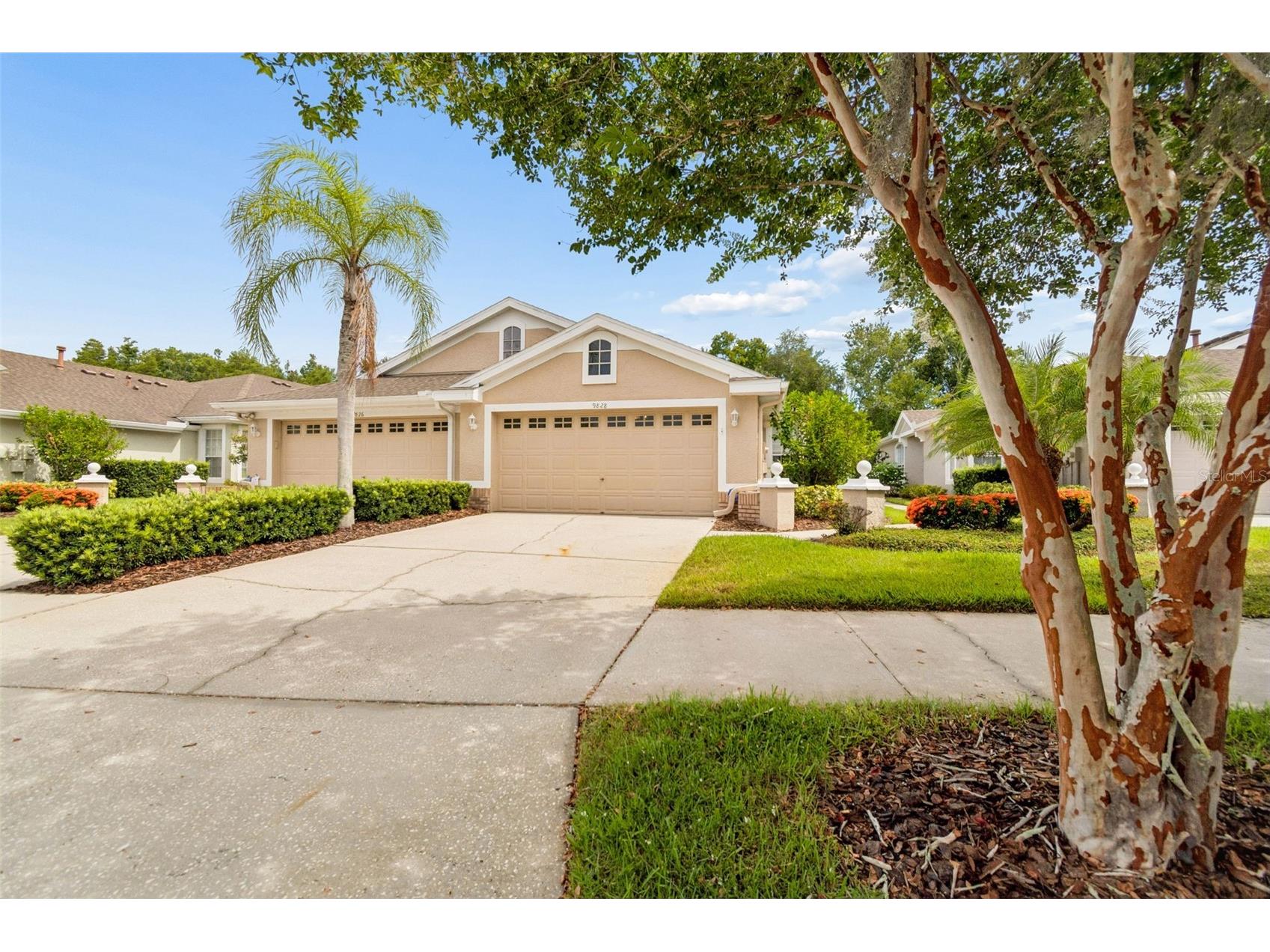 9828 Bridgeton Drive Tampa FL 33626 TB8523952 image4