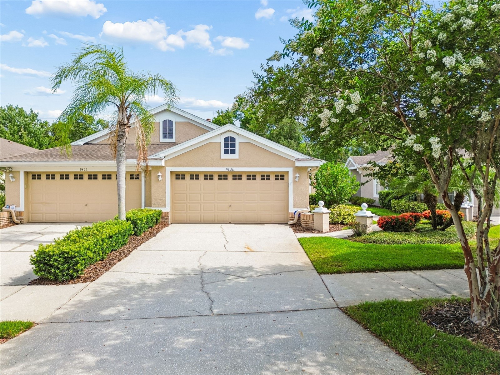 9828 Bridgeton Drive Tampa FL 33626 TB8523952 image5