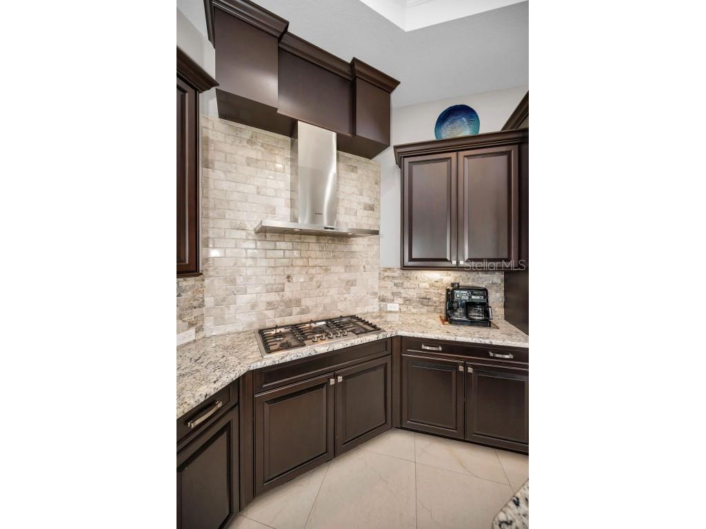 9829 Milano Drive Trinity FL 34655 W7879214 image22