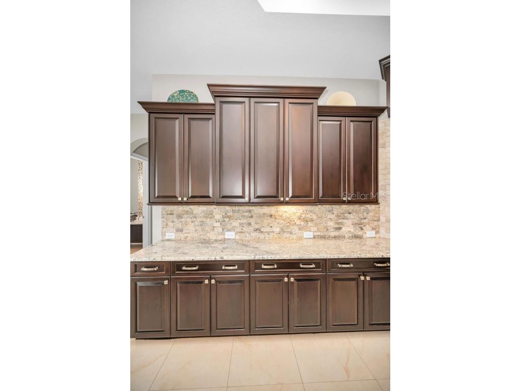 9829 Milano Drive Trinity FL 34655 W7879214 image28