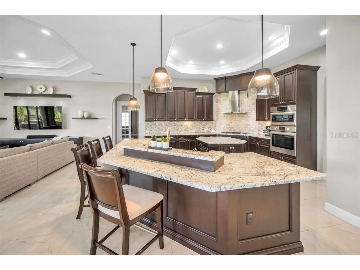 9829 Milano Drive Trinity FL 34655 W7879214 image34