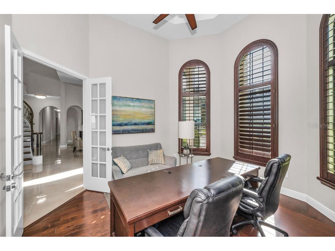 9829 Milano Drive Trinity FL 34655 W7879214 image50