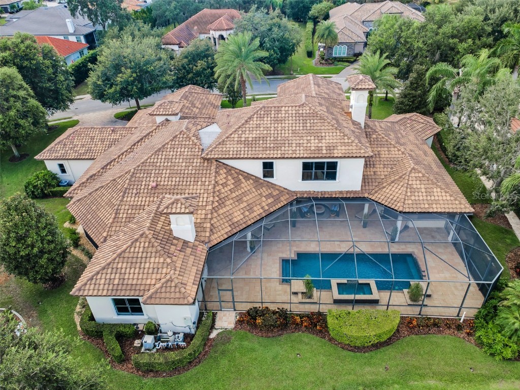 9829 Milano Drive Trinity FL 34655 W7879214 image7