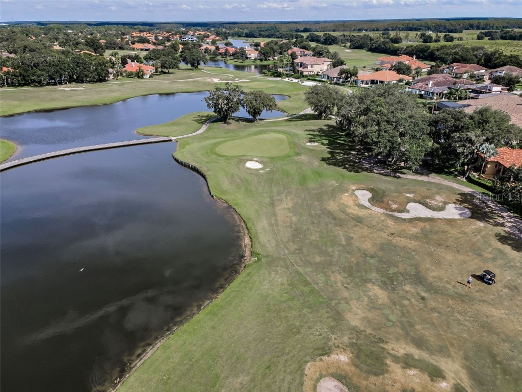 9829 Milano Drive Trinity FL 34655 W7879214 image96