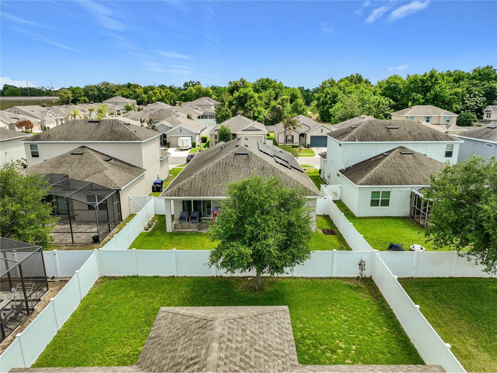 983 Karst Tree Lane Apopka FL 32703 S5147670 image41
