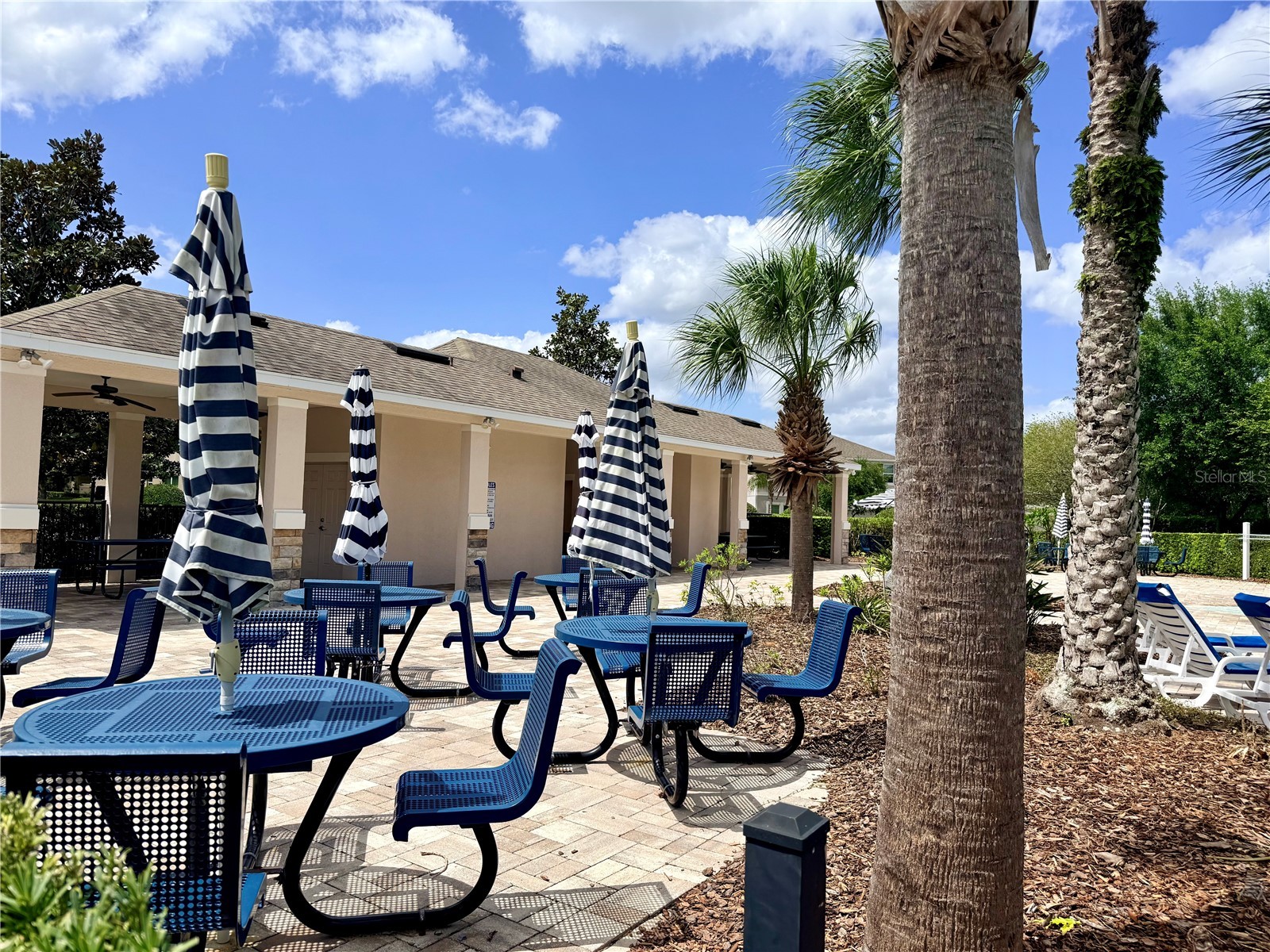 983 Karst Tree Lane Apopka FL 32703 S5147670 image45