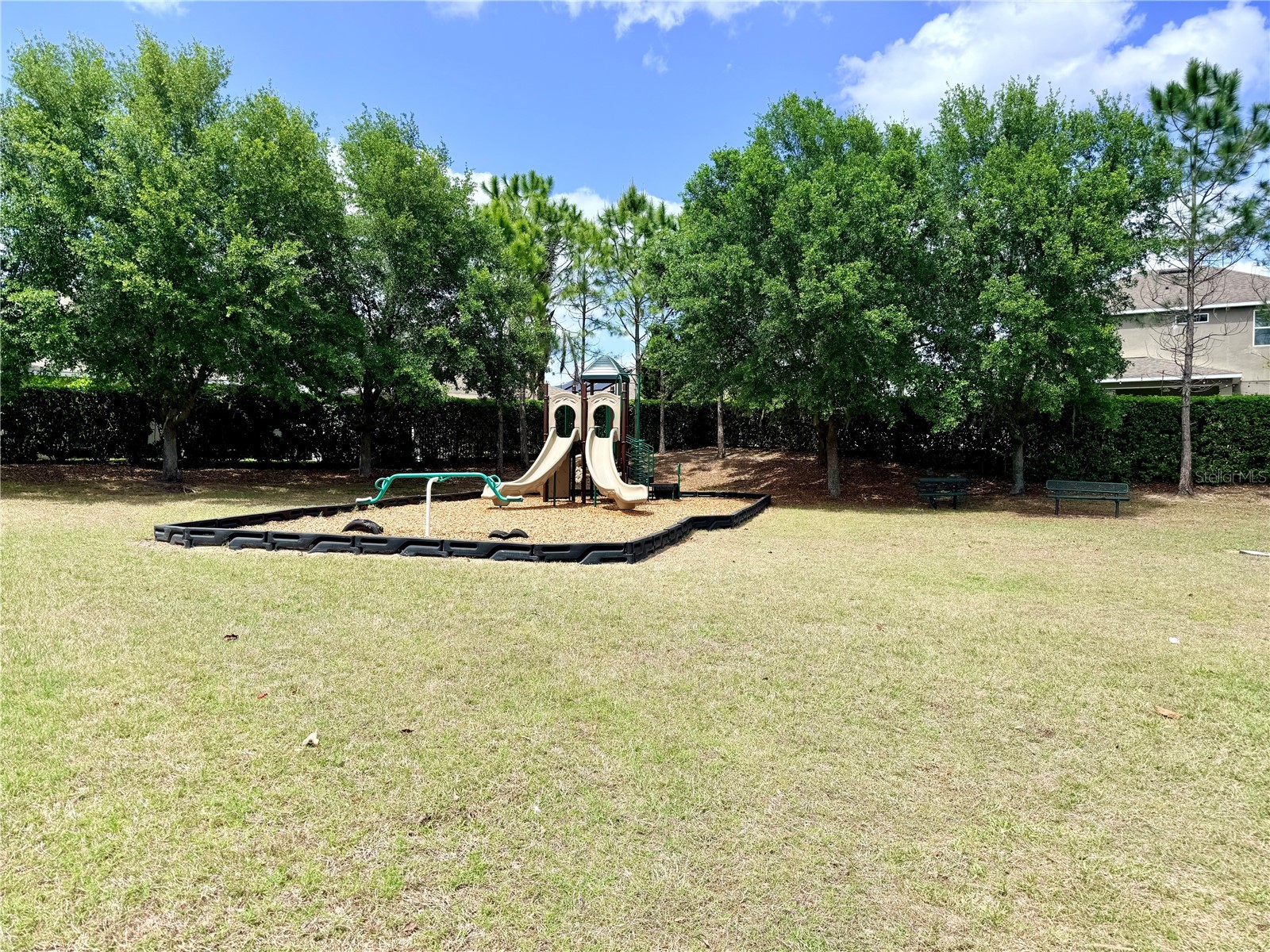 983 Karst Tree Lane Apopka FL 32703 S5147670 image46