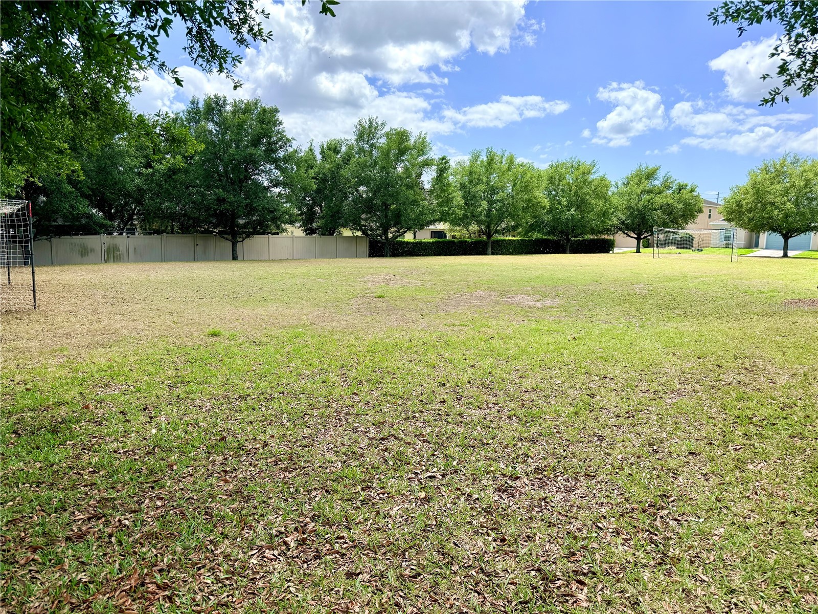 983 Karst Tree Lane Apopka FL 32703 S5147670 image47