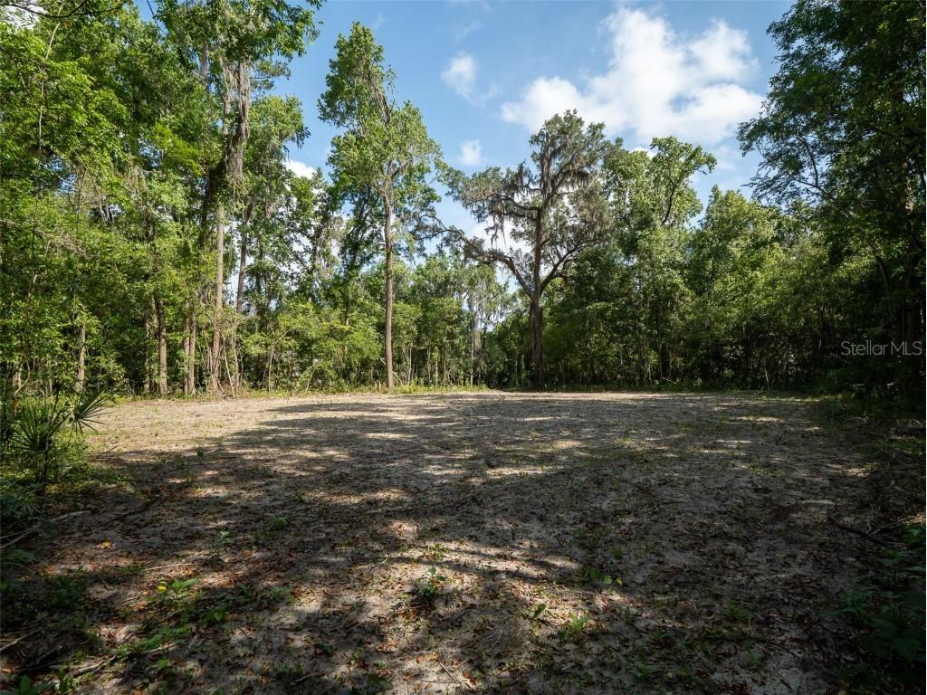 983 SW 25th Place Gainesville FL 32601 GC530402 image10