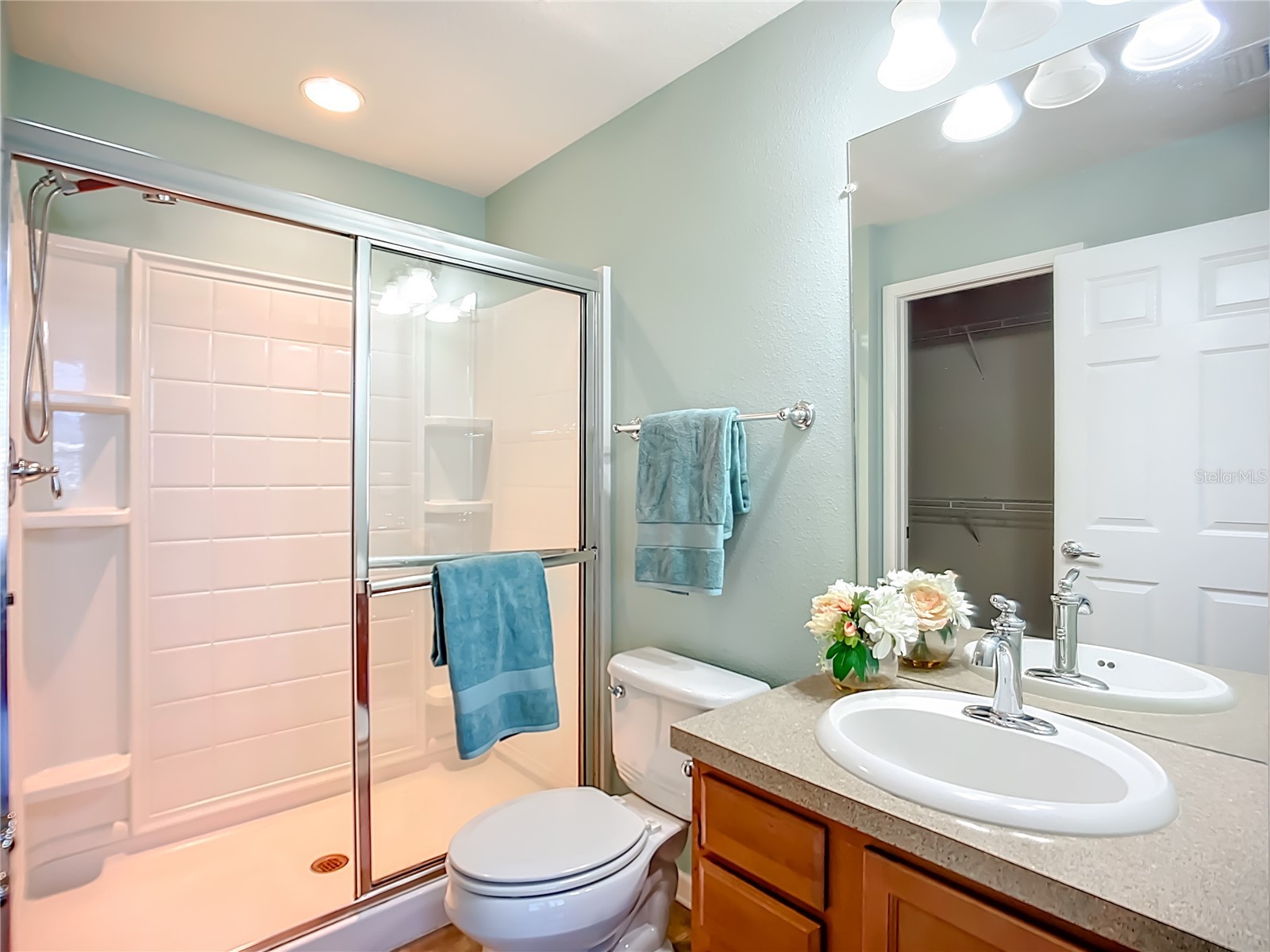 9830 50th Street Circle E Parrish FL 34219 A4677647 image20