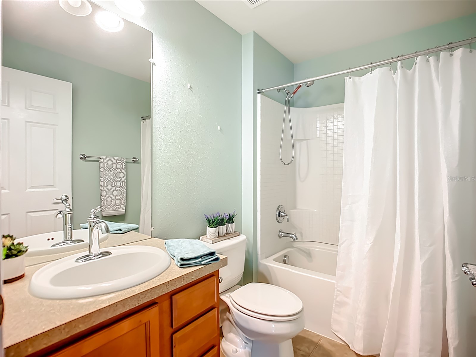 9830 50th Street Circle E Parrish FL 34219 A4677647 image25