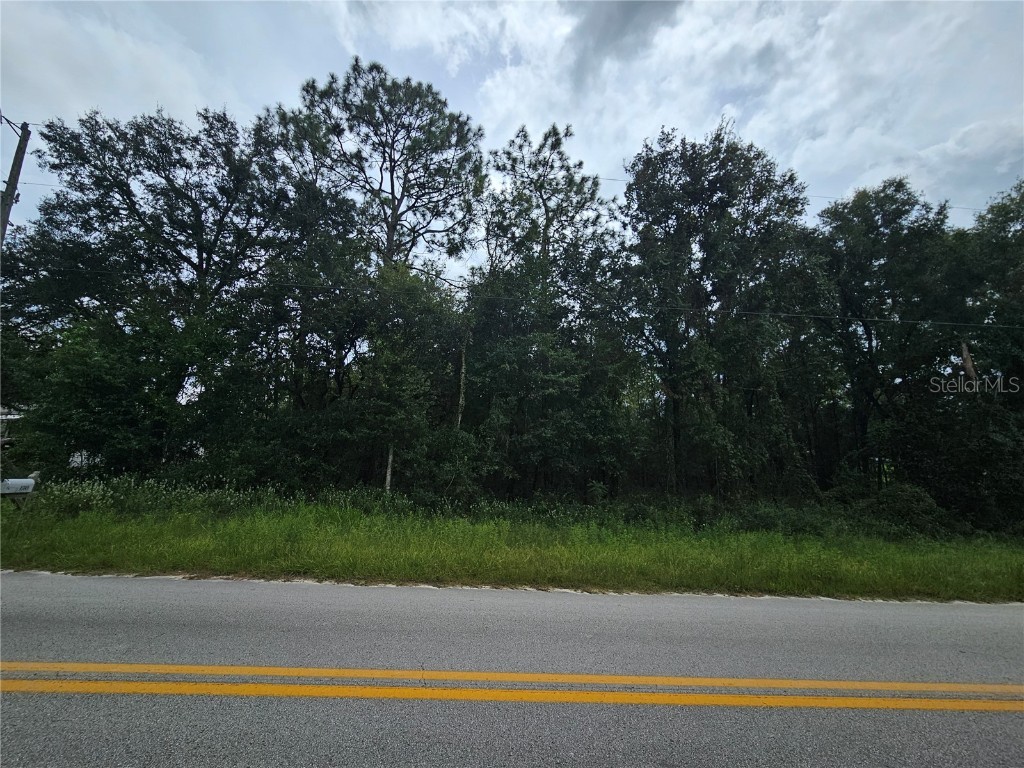 9830 NE 65th Lane Bronson FL 32621 OM709609 image3