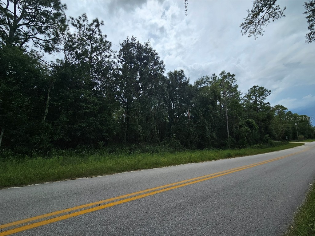 9830 NE 65th Lane Bronson FL 32621 OM709609 image4