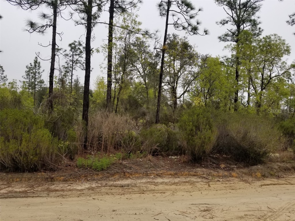 9830 NE 87th Place Bronson FL 32621 OM664287 image1