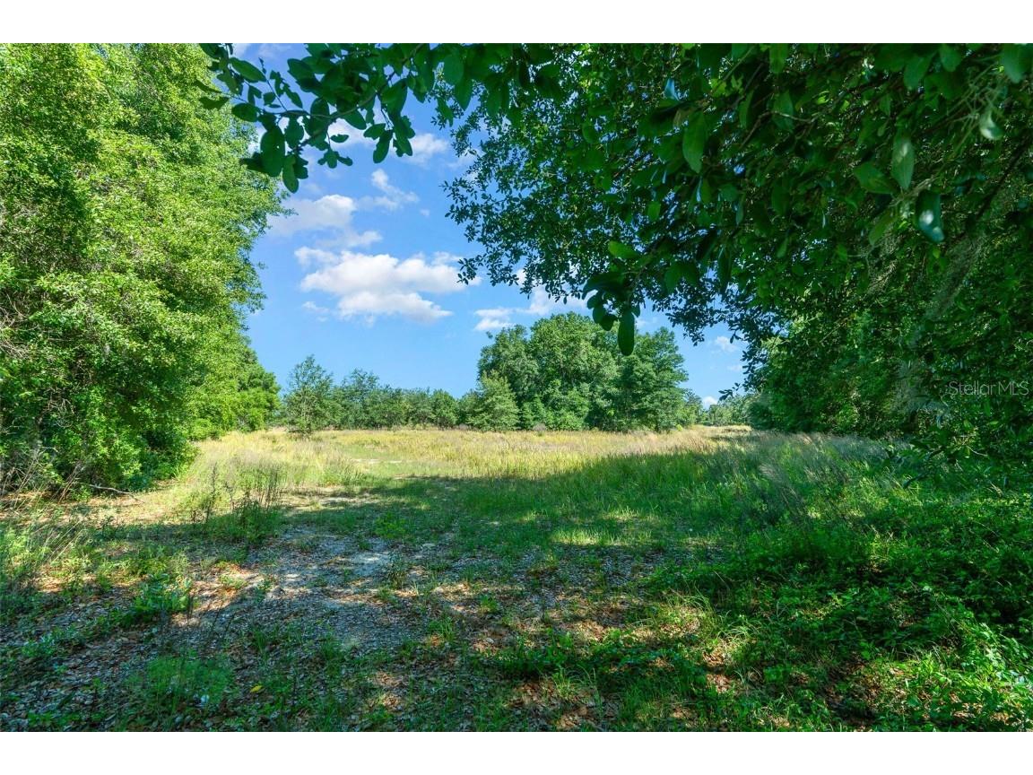9830 SE 176th Ct Rd Ocklawaha FL 32179 OM676405 image1