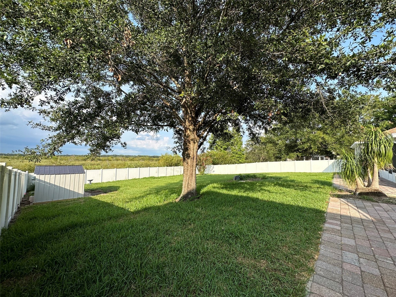 9830 Water Fern Circle Clermont FL 34711 O6382423 image28